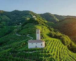 Imagem de Prosecco Hills, Italy