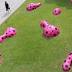 Your Ultimate Guide to the Best Weekend in Honolulu: March 10–13