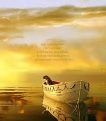 In search of your soul on Pinterest | Life Of Pi, Ernest Hemingway ... via Relatably.com