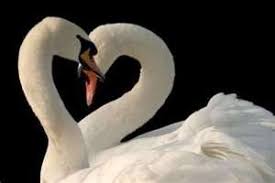 Image result for ‫عشق‬&lrm;