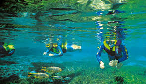 Afbeeldingsresultaat voor bonito brazil