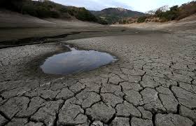 Image result for Drought photos