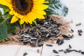 Image result for sunflower seeds