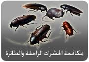 شركة رش مبيدات غرب الرياض 0562048024  شركة مكافحة حشرات غرب الرياض - صفحة 2 Images?q=tbn:ANd9GcSG_APnO6twrX7PBr5B1fTmwuCpH_8HTg9qgFxqi7iMPAArGIgYbQ