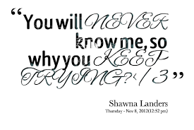 Quotes from Shawna Landers: You will NEVER know me, so why you ... via Relatably.com