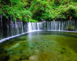 軽井沢 夏の画像