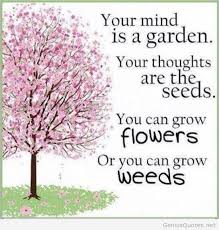 Image result for Image Quotes on the mind