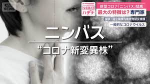 テレ朝NEWS - News update