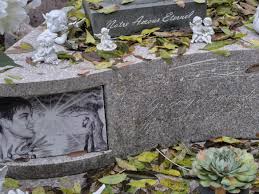 News source: Le Dauphiné Libéré