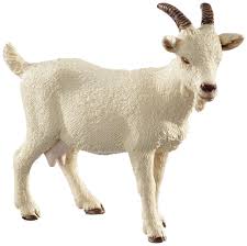 Image result for GOAT