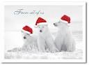 Polar Bear Greeting Cards Card Ideas, Sayings, Designs - CafePress