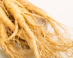 Siberian ginseng root