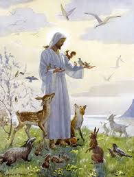 Image result for The Humane Gospel of Yeshua and love animals