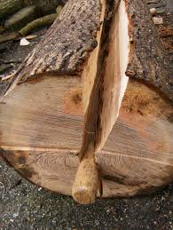 Znalezione obrazy dla zapytania log