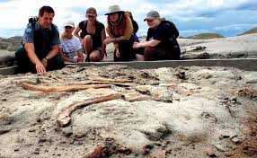 Nine summer attractions across Canada that you can still visit this fall - The Globe and Mail