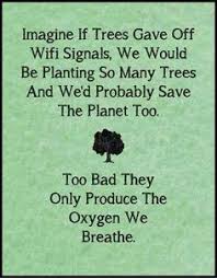 Arbor Day on Pinterest | Arbors, Earth Day and Tree Templates via Relatably.com