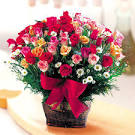 America s Best Flowers: Garden Center Madison