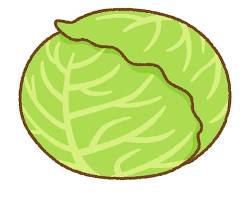 キャベツ イラスト フリーの画像