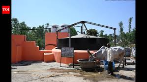 Amid LPG shortage, Haridwar village shows how biogas can power rural kitchens