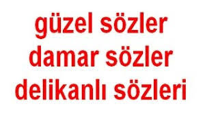 polat alemdar damar sözleri ile ilgili görsel sonucu