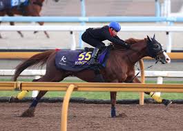 News source: Yahoo!ニュース