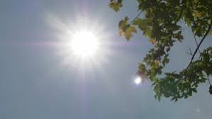 CTV News - News update