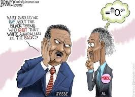 Résultat de recherche d'images pour "black on white crime"