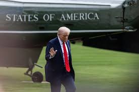 trump in hospital news