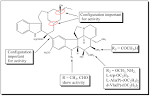 Vinca Alkaloids for Cancer Treatment