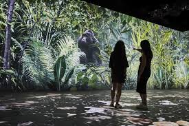 Smithsonian Magazine - News update