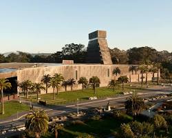 de Young Museum