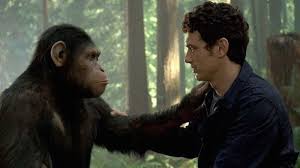 Image result for monkeys