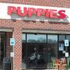 Story image for Best Pet Supplies Dog Supplies Dog Diapers For Sale from Shorebeat