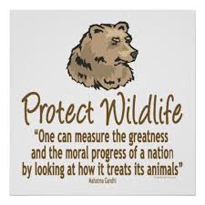 Wildlife Preservation Quotes. QuotesGram via Relatably.com