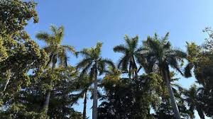 El Sol de México - News update