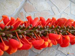 Rsultat de recherche d'images pour 