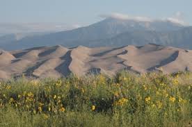 Image result for sand dunes oregon