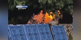 hawaii news now Picture