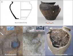 La nécropole de Vannes/Darioritum : données inédites sur les pratiques funéraires armoricaines dans un secteur occupé du ier au ive s. apr. J.-C.