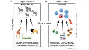 Image result for organisms and their environment