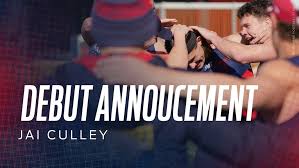 melbournefc.com.au - News update