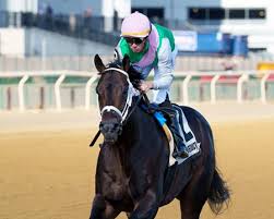 Unbeaten Disco Time Swings Into Pegasus World Cup