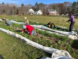 5 ways to celebrate Earth Day in the Midcoast