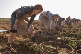 Résultat de recherche d'images pour "colonia film"