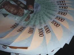 Image result for money naira