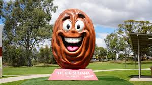 Mildura becomes home of the Big Sultana - ABC News & Headlines - Australian Broadcasting Corporation