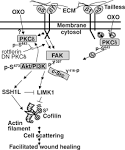 Augsburg-Muehlhausen Airport, München, Deutschland Günstige