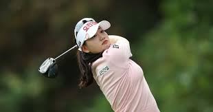 조선일보 - News update