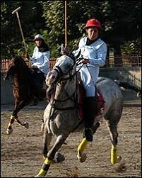 Image result for IRAN HORSES