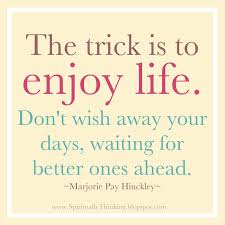 Quotes About Enjoying Life | Turdkepo via Relatably.com